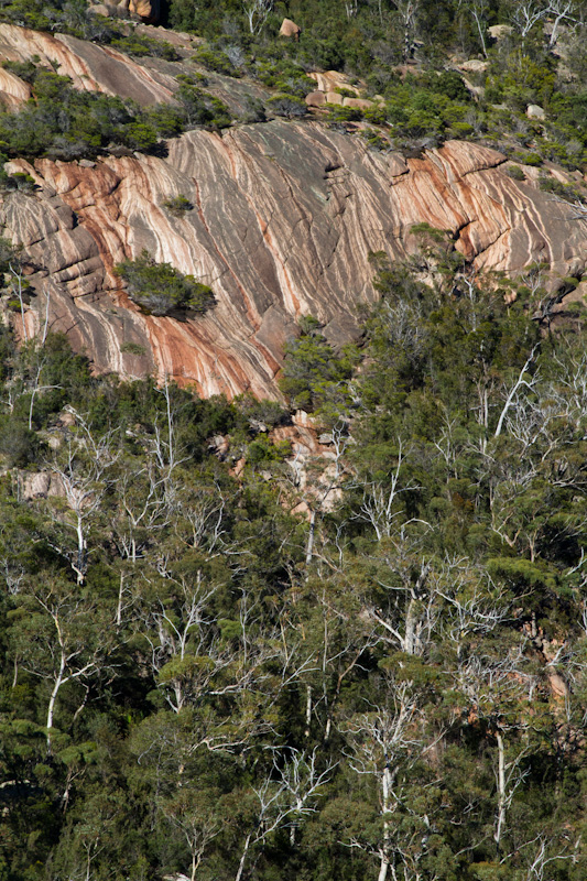 Cliff Above Forest