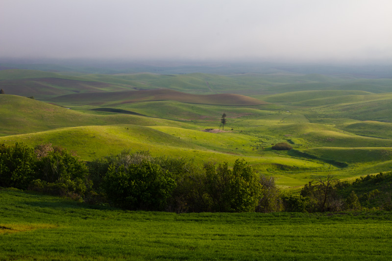 First Light On The Palouse