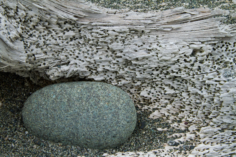 Beach Rock On Driftwood