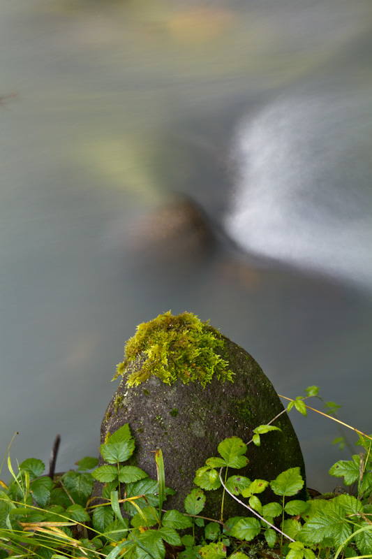 Moss Covered Rock On River Bank
