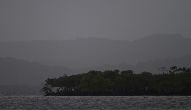 Fraser Island In Rain