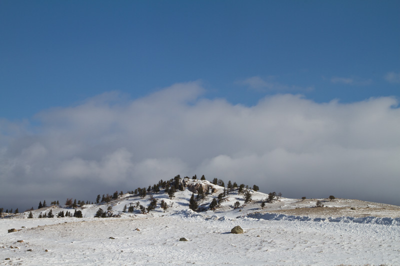 Yellowstone In Winter
