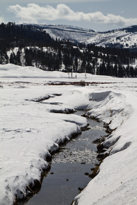 Lamar River Valley In Winter
