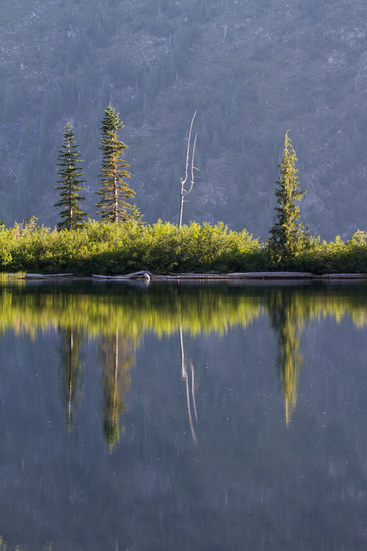 Trees Reflected In Bench Lake