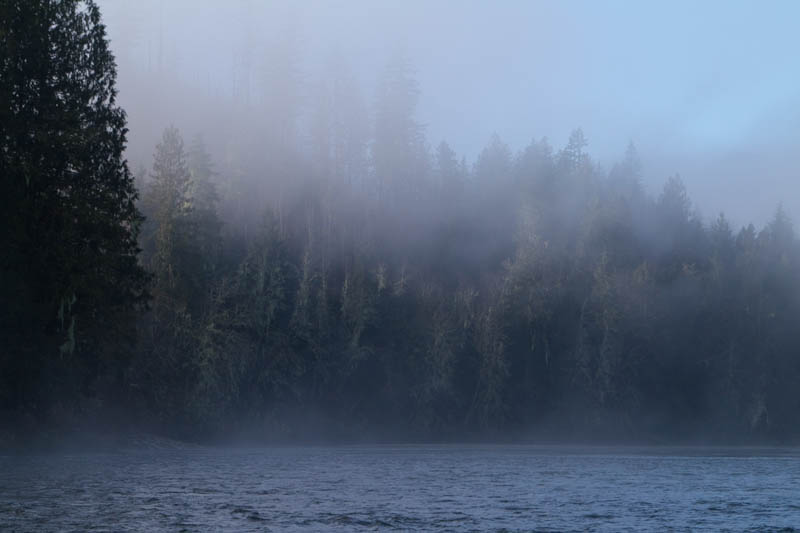 Shores Of The Skagit River In Fog