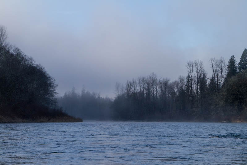 Shores Of The Skagit River In Fog