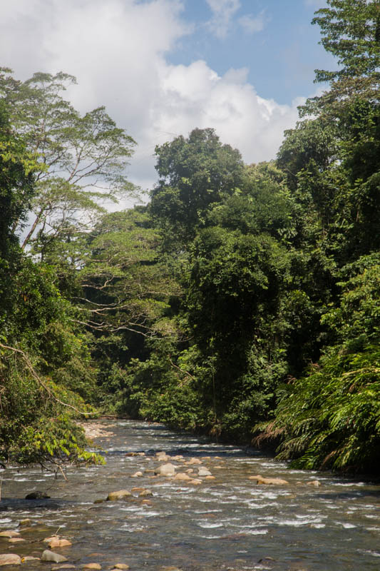The Melinau River